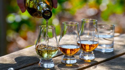 The Best Whiskey & Single Malt Scotch Glassware