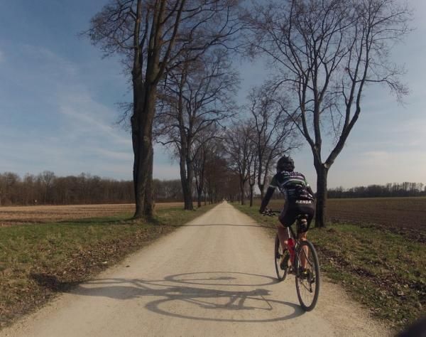 Early Spring in Europe
