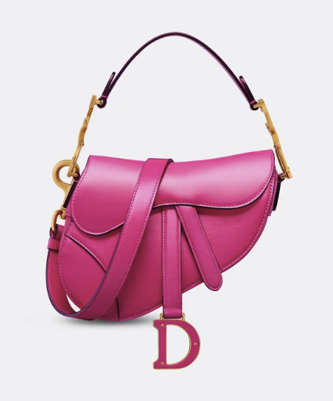 Whatever it is that takes to make an icon, we can be fairly certain that Dior’s Saddle bag has *it* Whatever it is that takes to make an icon, we can be fairly certain that Dior’s Saddle bag has *it*