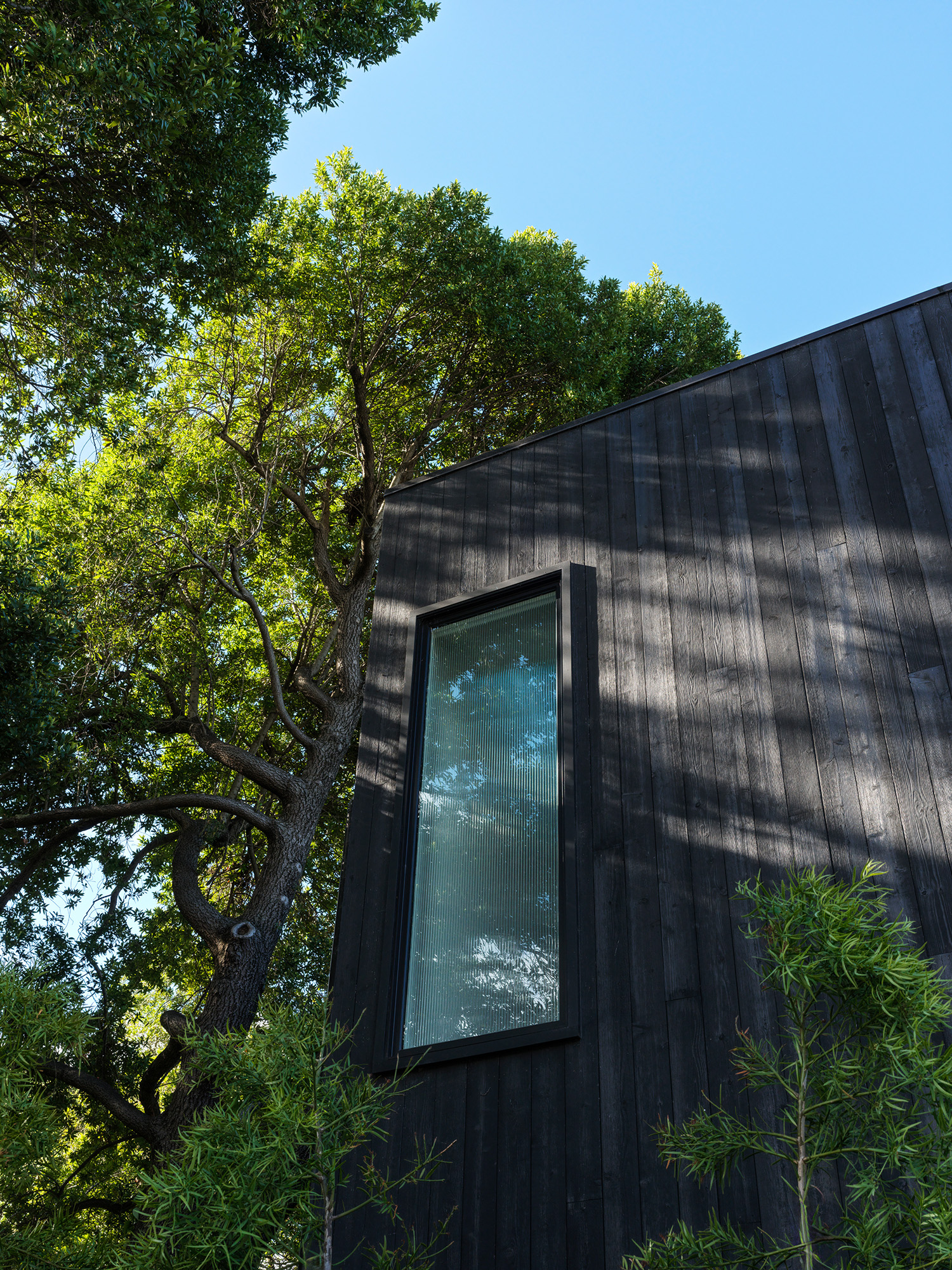 Dark timber cladding harmonises with the wooded surroundings