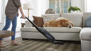 A Golden Retriever sitting on a sofa as someone vacuums the hardwood floor in front of it