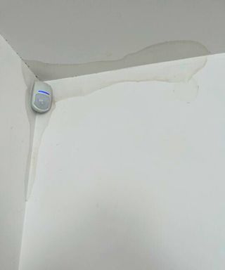 The corner of my white ceiling and wall with a medium size water leak stain. There is a security alarm motion sensor on in the corner