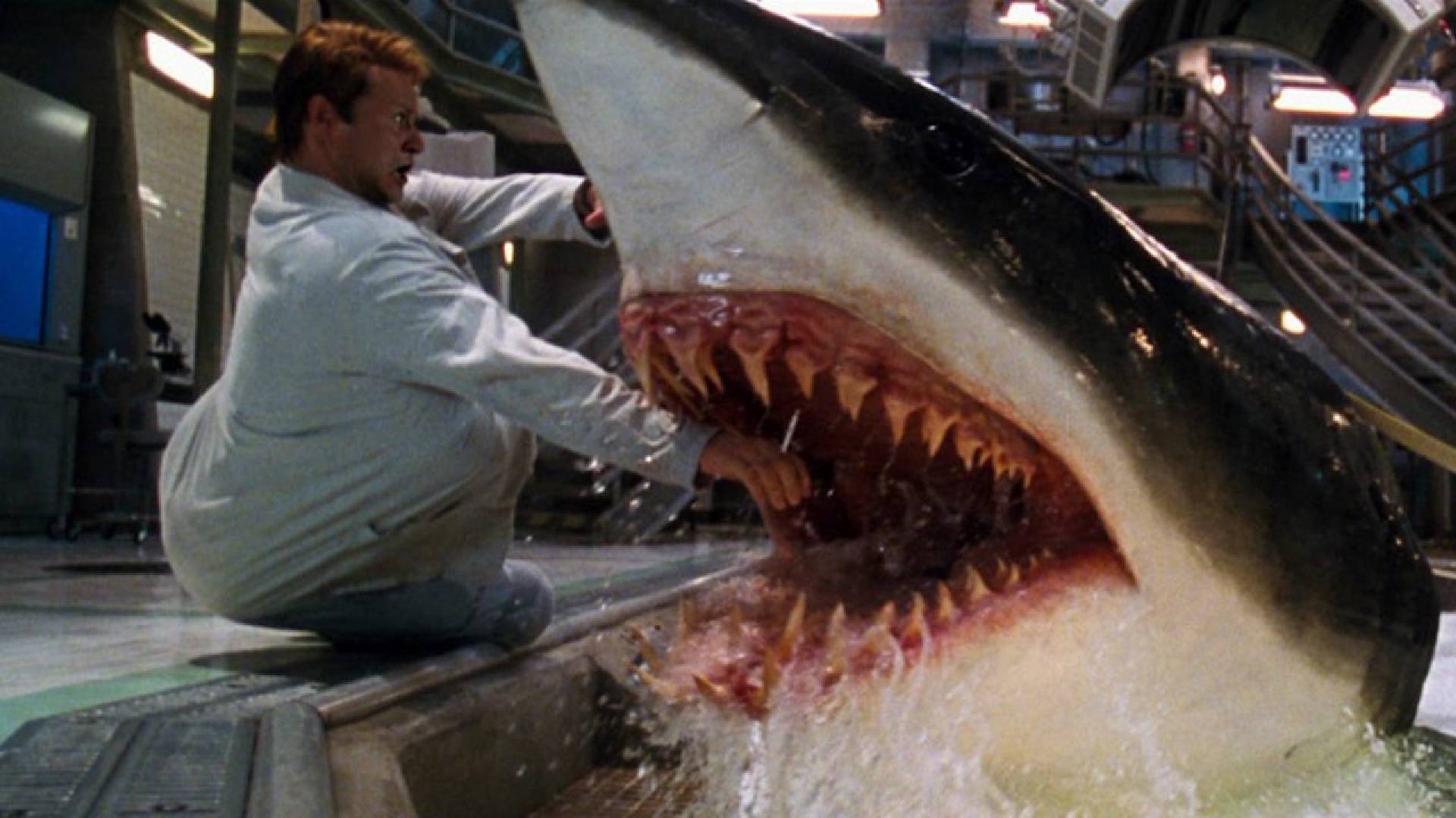 Shark attack in Deep Blue Sea
