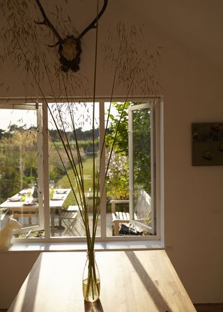 kitchen looking out on to garden with decorative reeds in vase