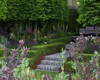 terraced garden with natural stone paver steps, surrounded by low evergreen hedging, topiary trees and perennial planting