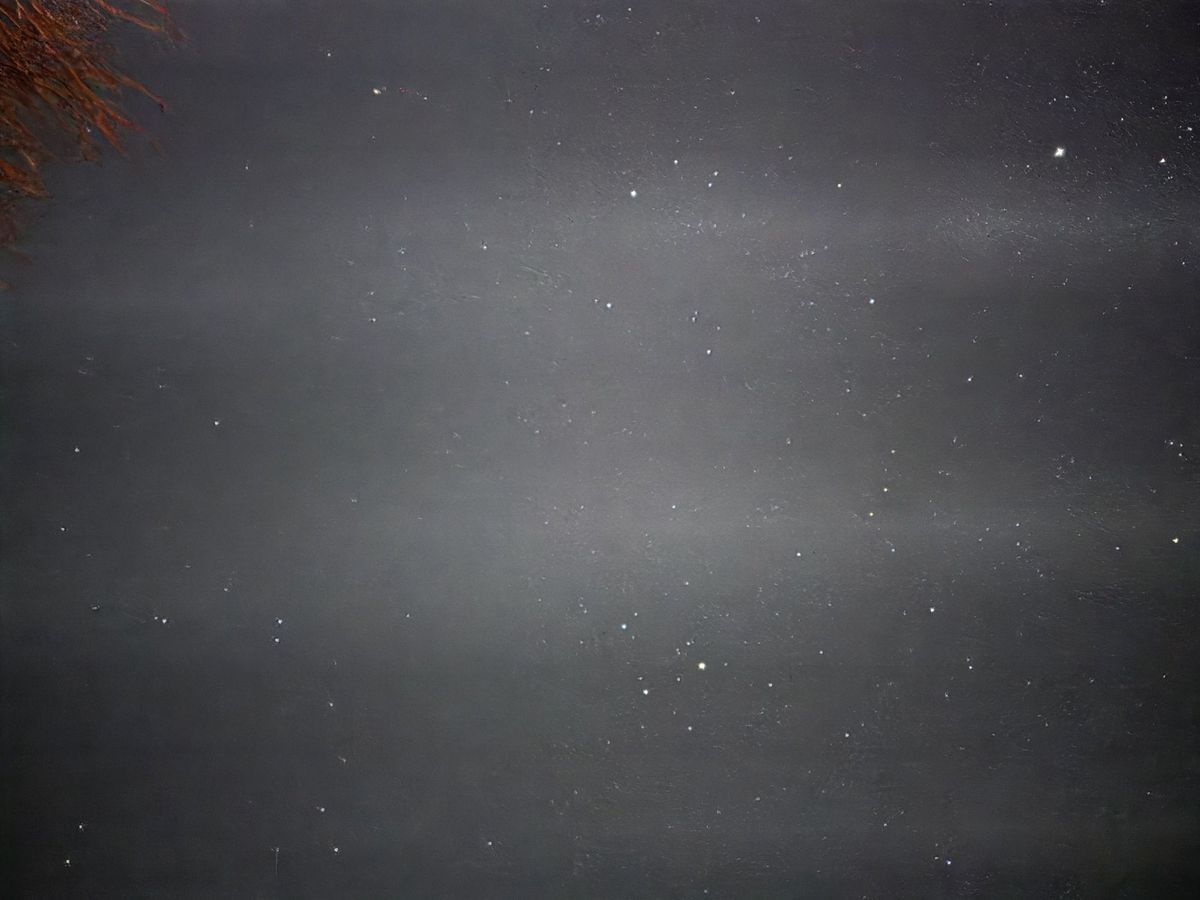 Galaxy S25 Ultra night mode glitch sample.