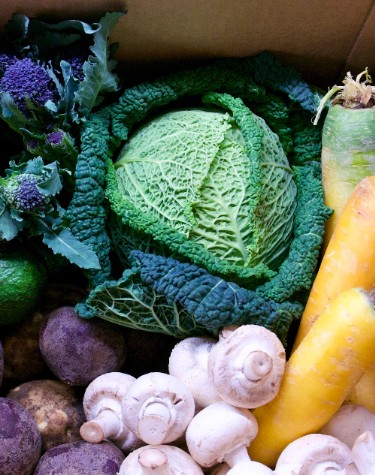 Oddbox organic vegetable box