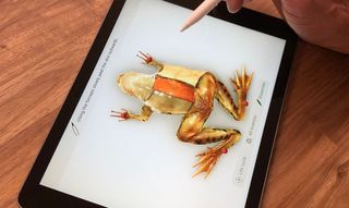 New iPad Froggipedia