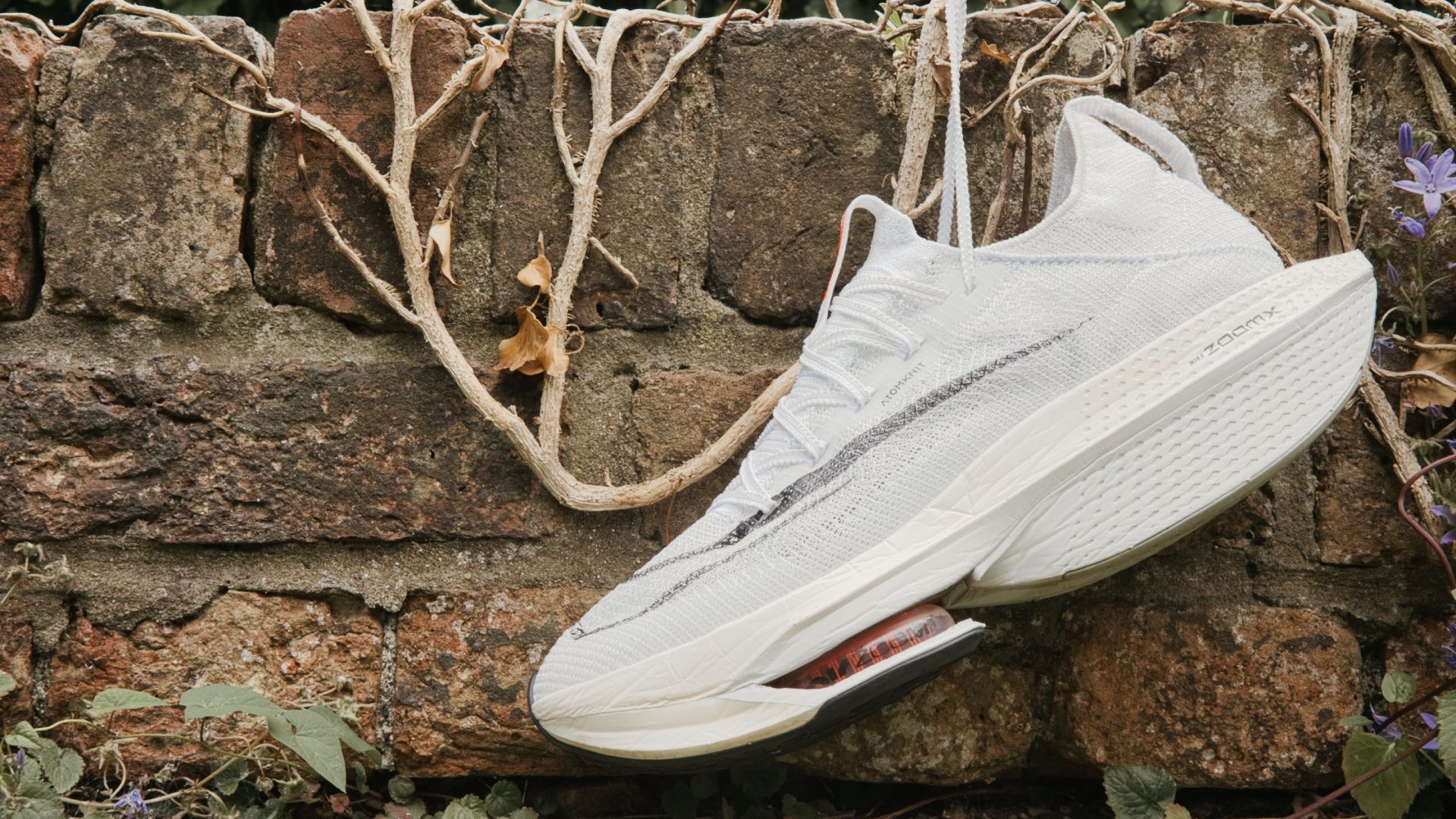 bGpioYNwFks6pjyKgyL2VN-1920-80