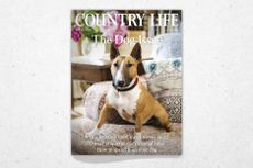 The cover of Country Life July 22, 2026
