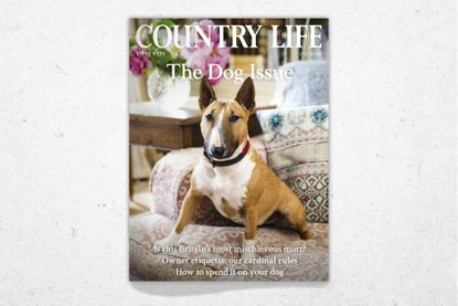 The cover of Country Life July 22, 2026