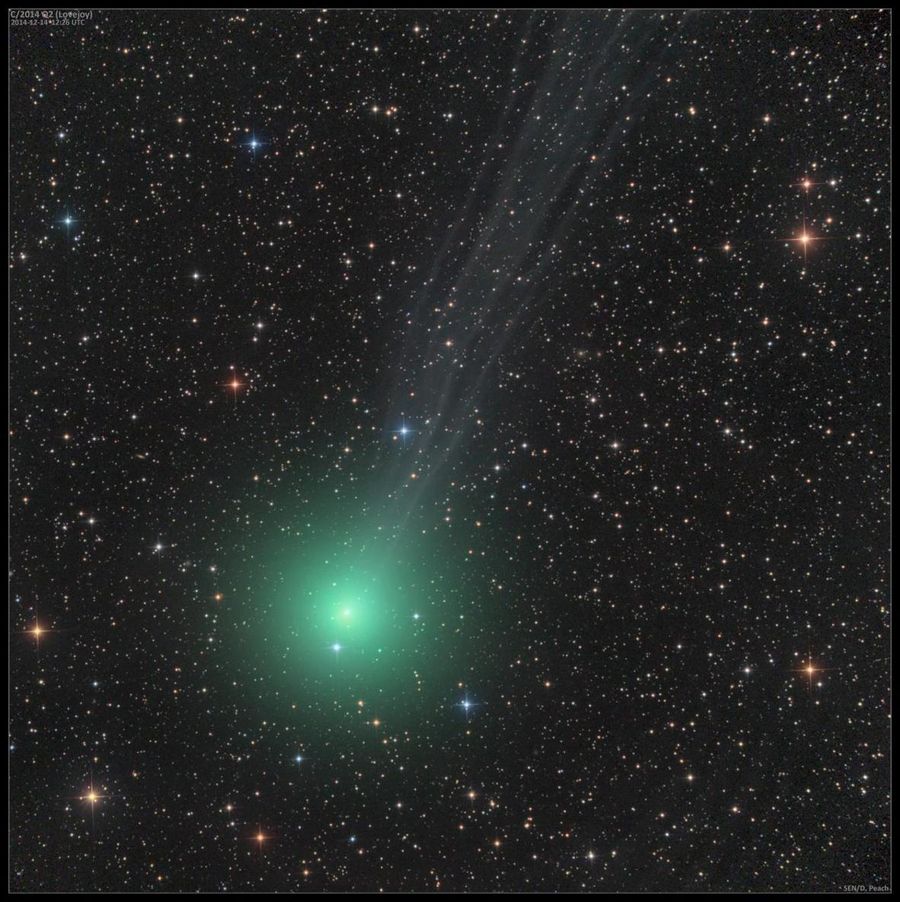 A Christmas Comet to be Seen From Dark Skies Space