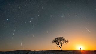 Streaks of white light from the Geminid meteor shower are seen across an orange and blue sunset night sky with a silhouette of a tree and person in the foreground