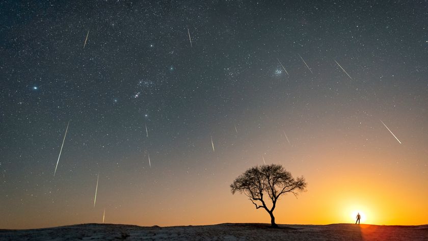 Streaks of white light from the Geminid meteor shower are seen across an orange and blue sunset night sky with a silhouette of a tree and person in the foreground
