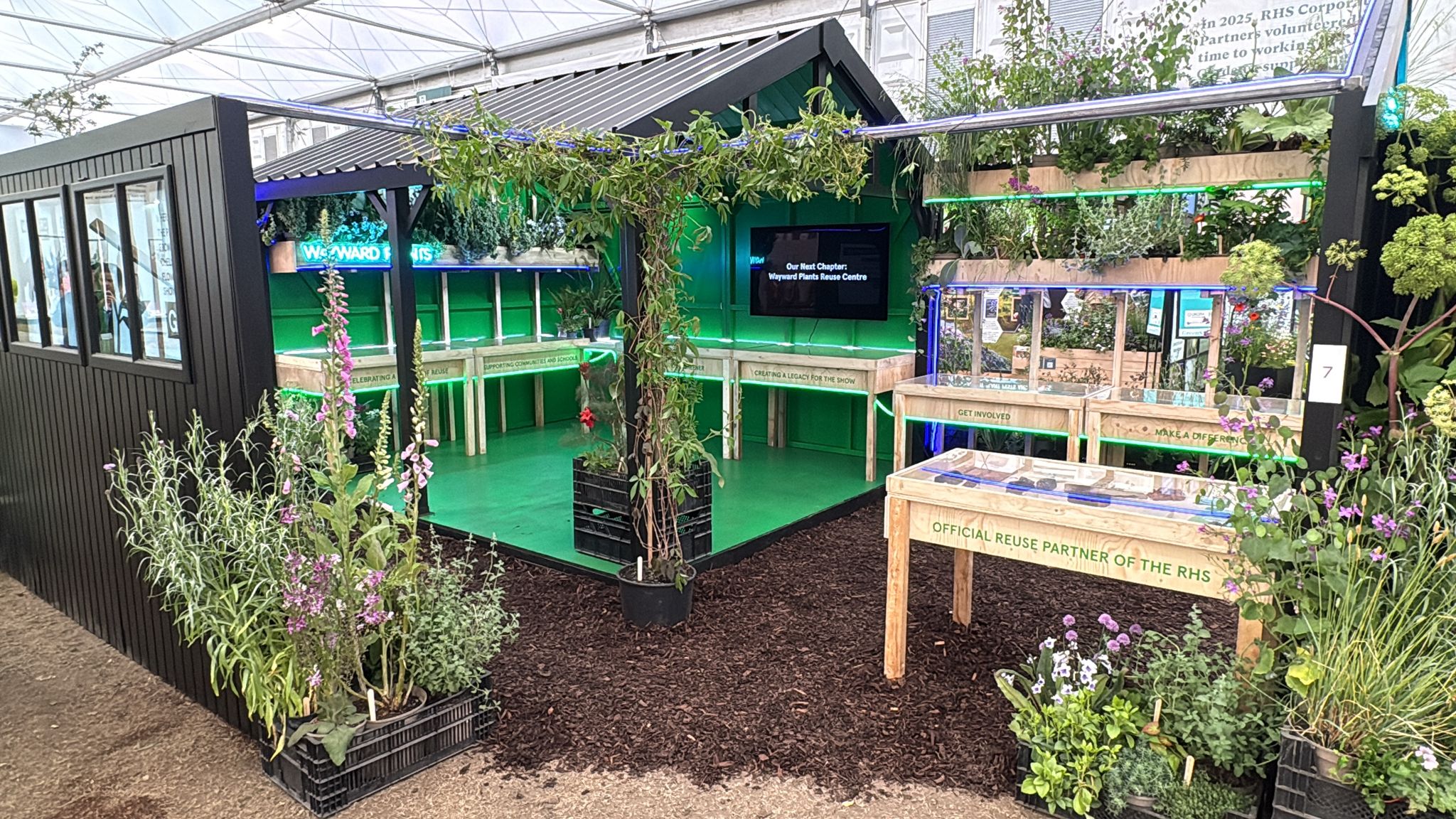 The Wayward Plants stand, showing what happens to all the gardens post Chelsea
