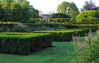 One of the two Box Gardens (the Spring and Summer Box Garden) at at Scampston Hall. ©Val Corbett/Country Life Picture Library