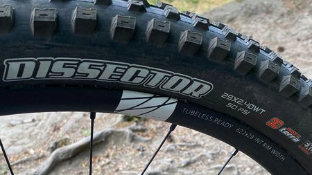 A Maxxis Dissector tyre fitted to a MTB wheel