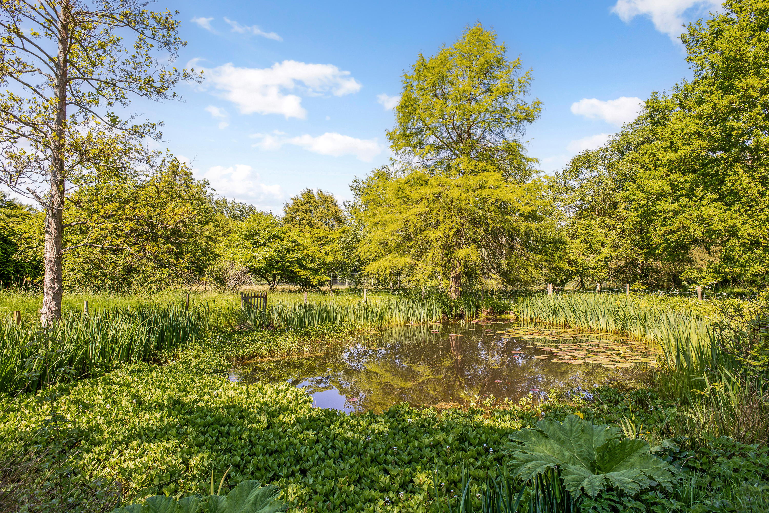 Bayford House in Hertfordshire