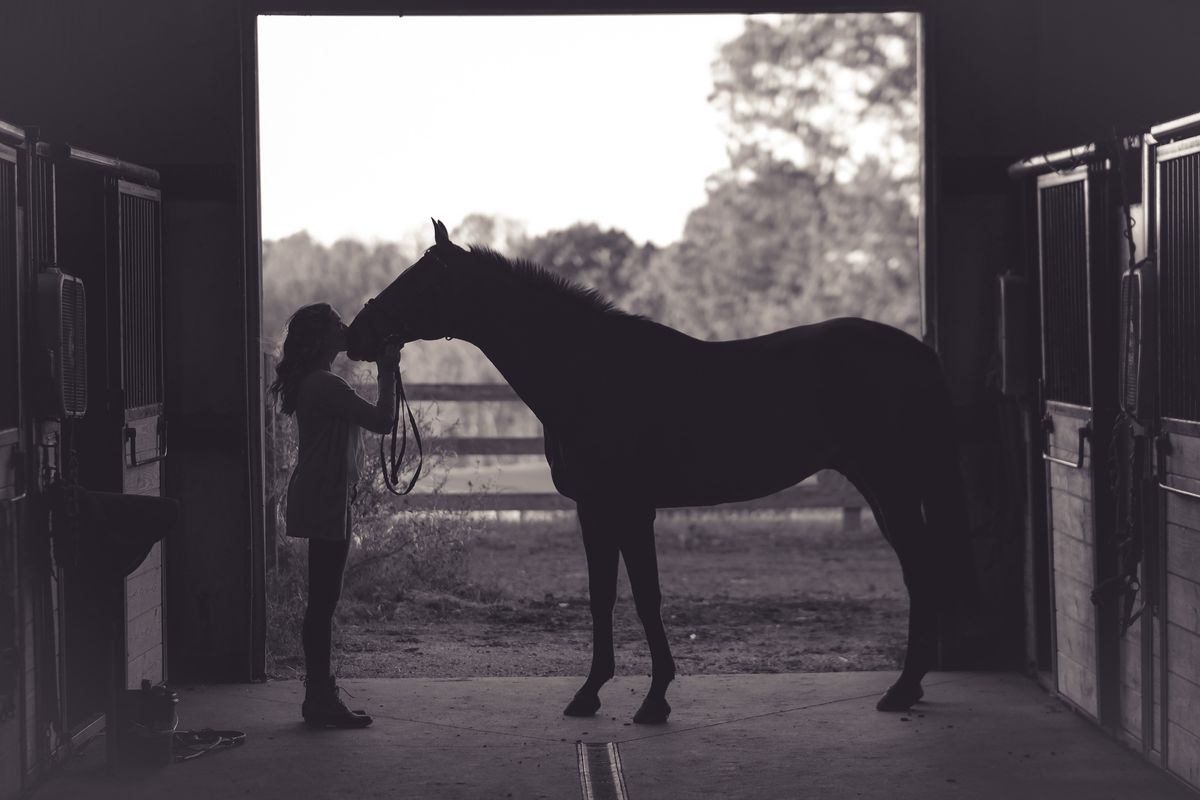 girl kissing her horse&#039;s nose