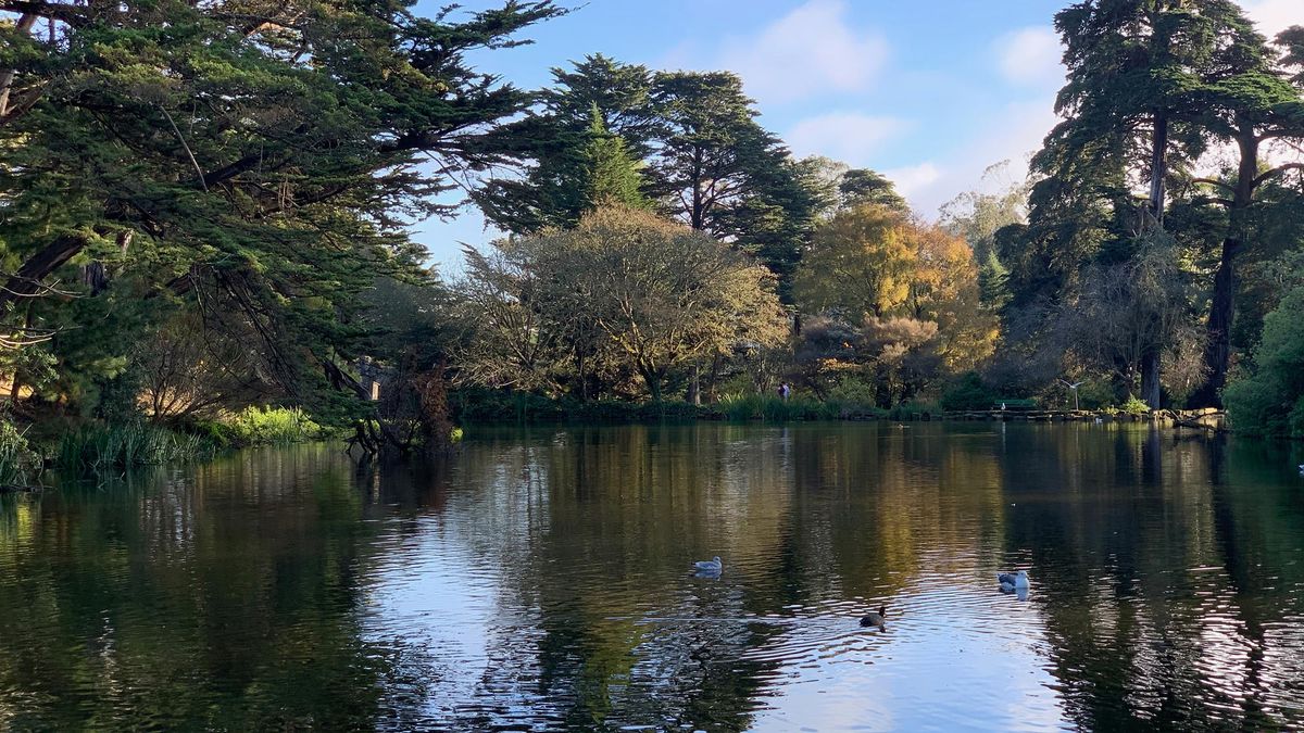 iPhone XS