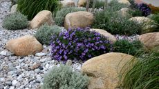Using rocks instead of mulch