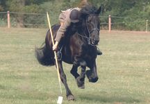 TentPegging.jpg