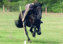 TentPegging.jpg