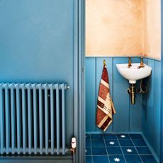 Cloakroom with blue painted panelled walls, a blue tiled floor and a blue painted radiator outside in the same shade