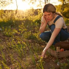 A worried looking woman crouches next to seedlings in a garden