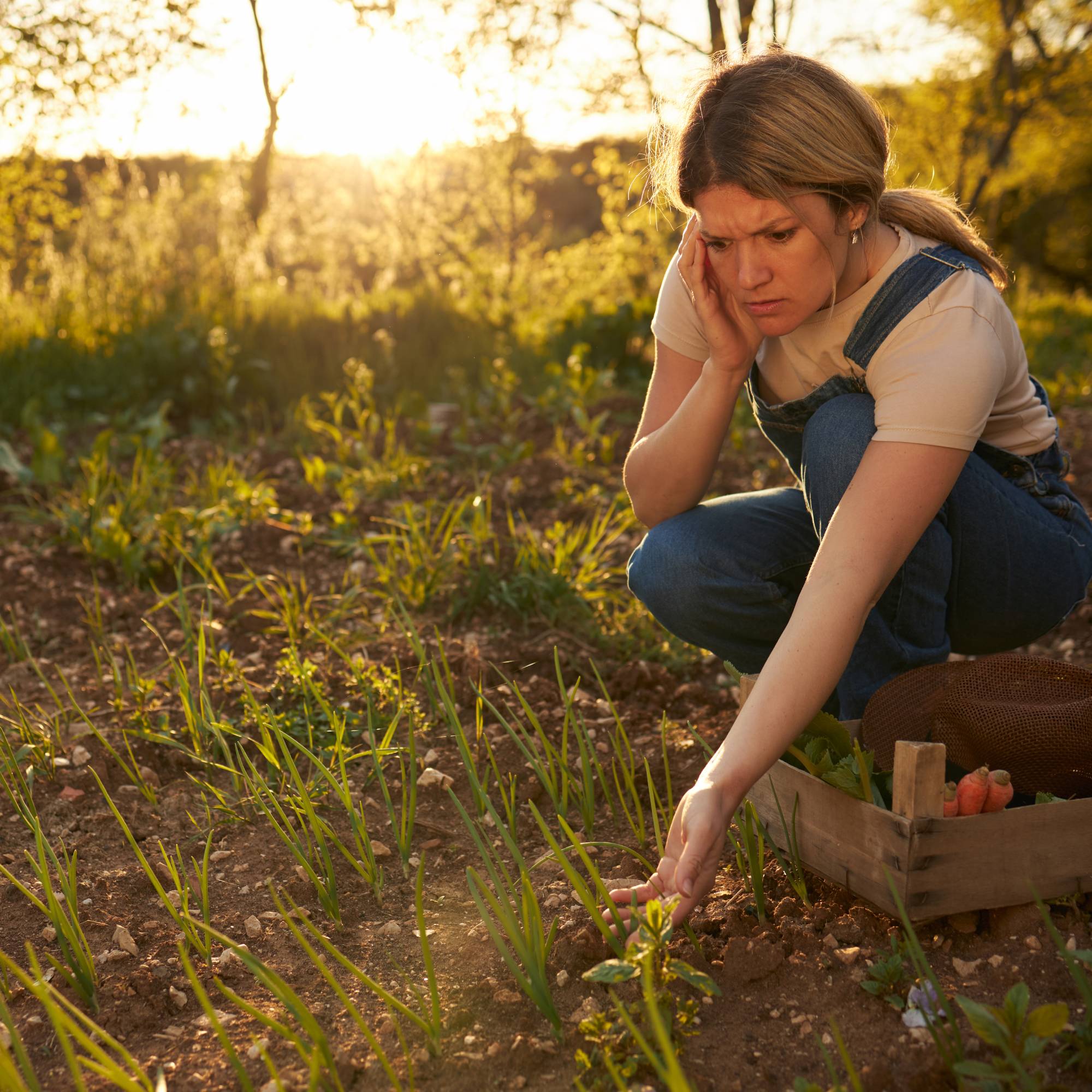 A worried looking woman crouches next to seedlings in a garden
