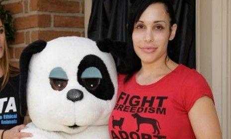 Octomom&amp;#039;s PETA partnership might save her home.