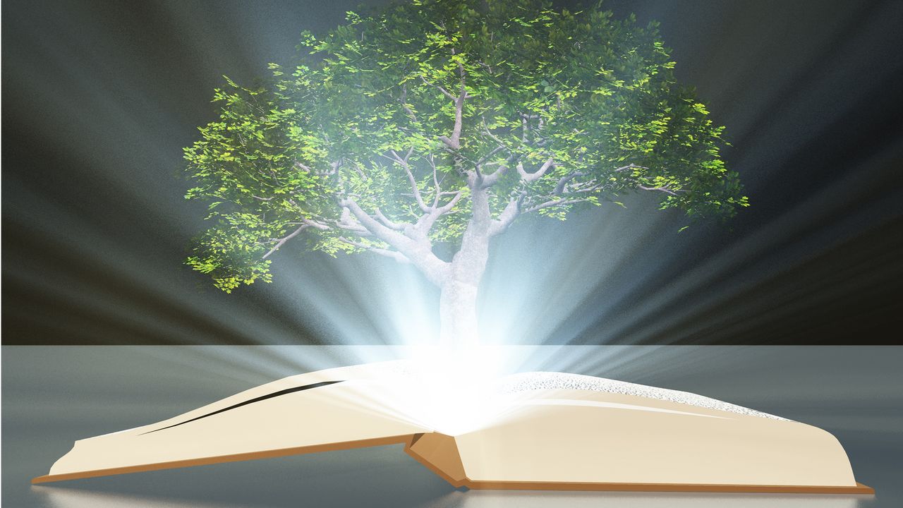 A lush green tree seems to grow out of an open book.