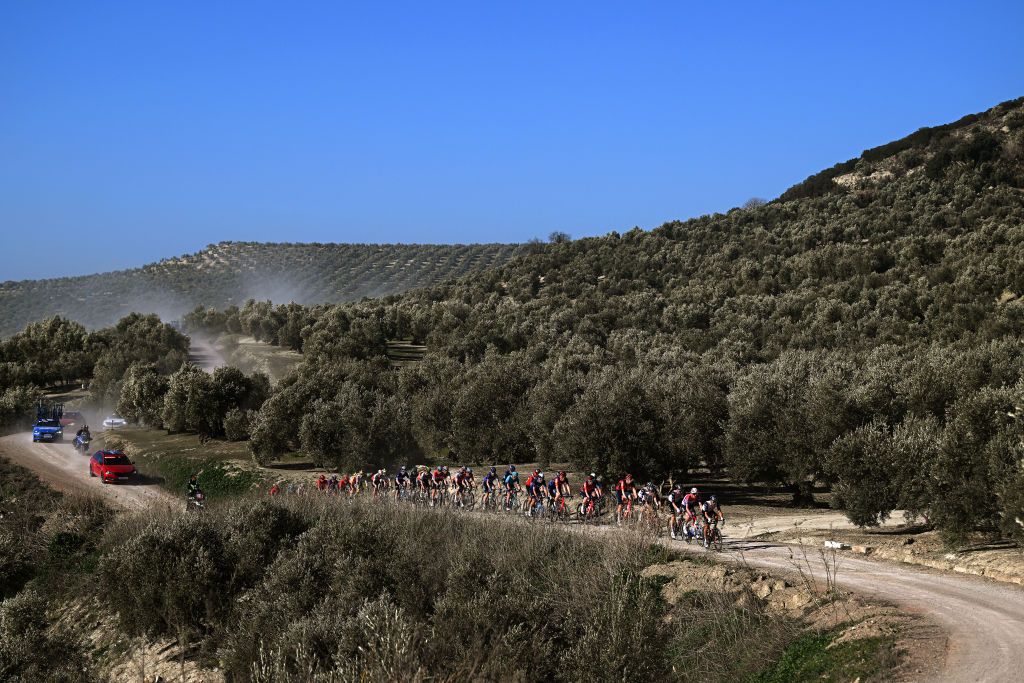 BAEZA SPAIN FEBRUARY 13 General view of the peloton as it passes through a landscape of olive groves during the 2nd Clasica Jaen Paraiso Interior 2023 a 1789km one day race from beda to Baeza 752m ClsicaJan23 on February 13 2023 in Baeza Spain Photo by Dario BelingheriGetty Images
