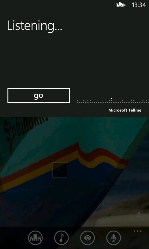 Launched From Voice Icon