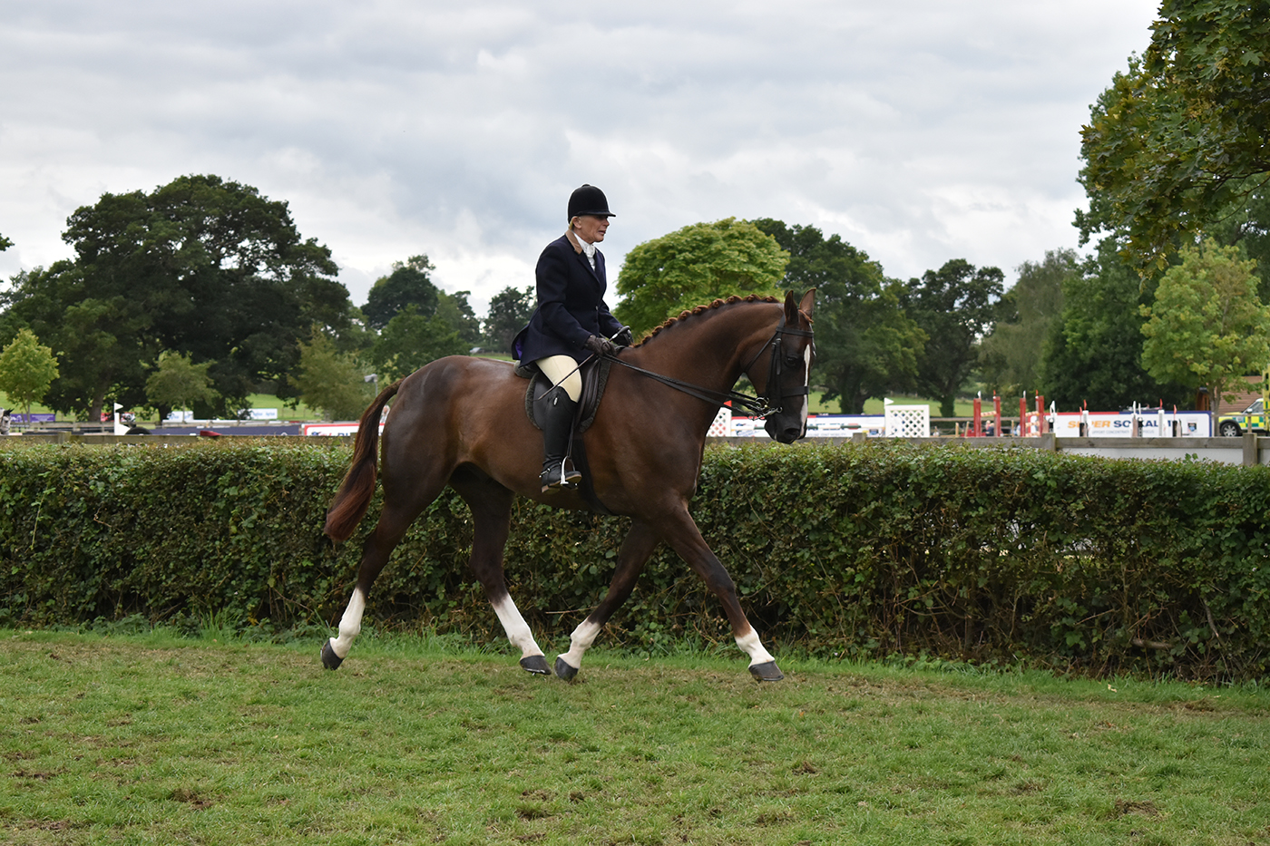 San Miguel was among the 2023 Royal International Horse Show winners