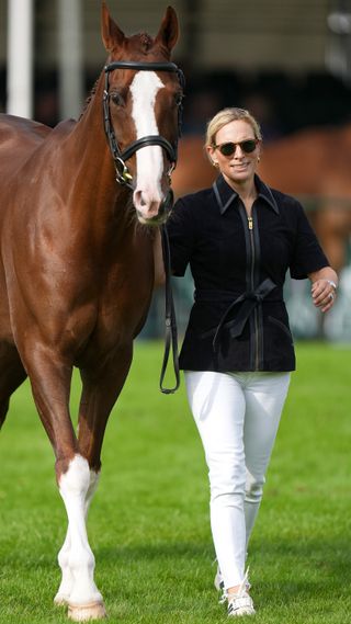 Zara Tindall and her horse Class Affair are seen at the first horse inspection at the Burghley Horse Trials 2024 on September 04, 2024