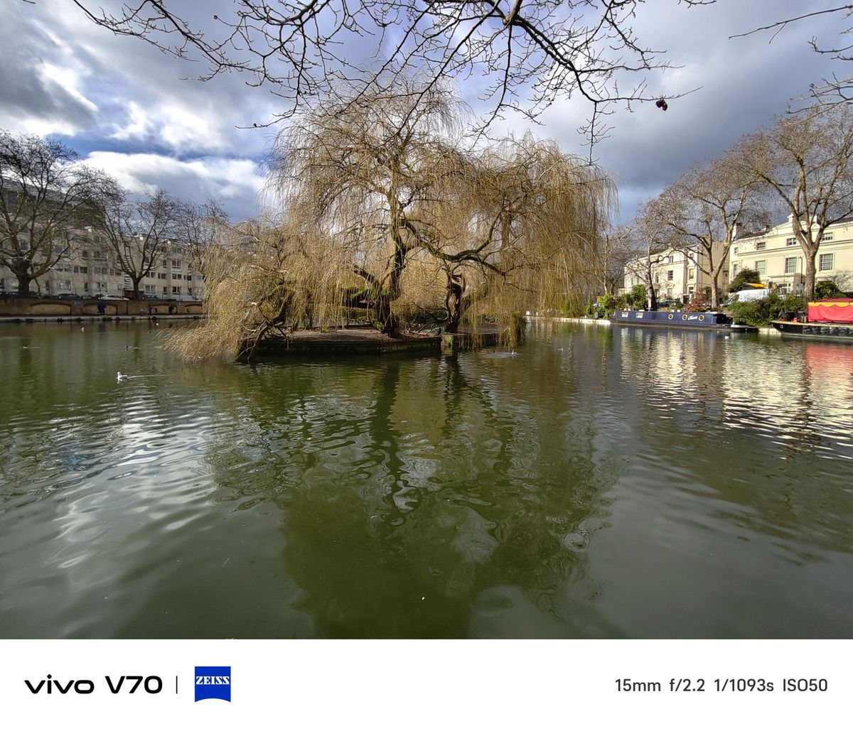Wide shot of willow tree on small island in pond with surrounding townhouses and reflections.