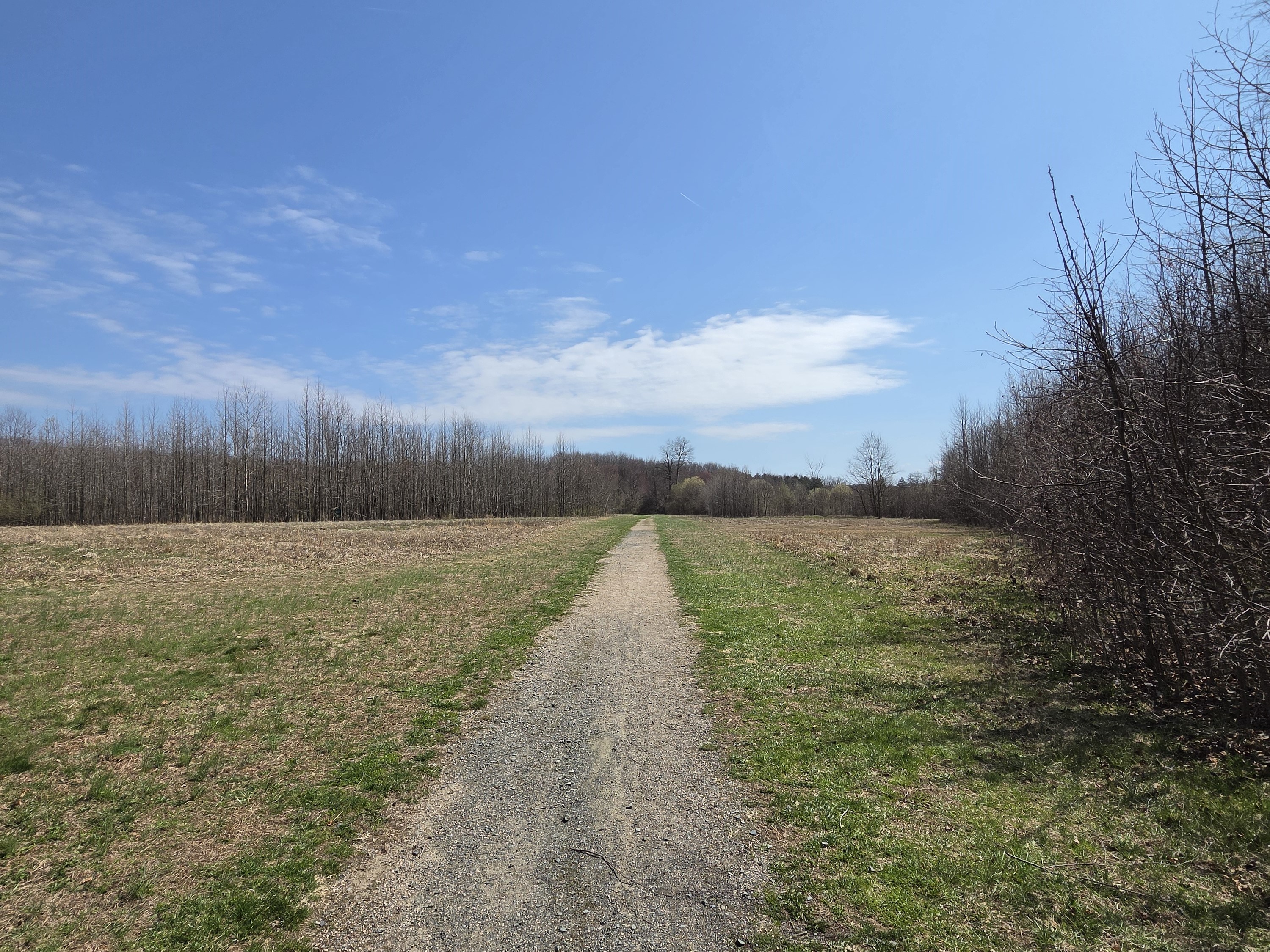 Samsung Galaxy S26 Plus Review Camera Samples