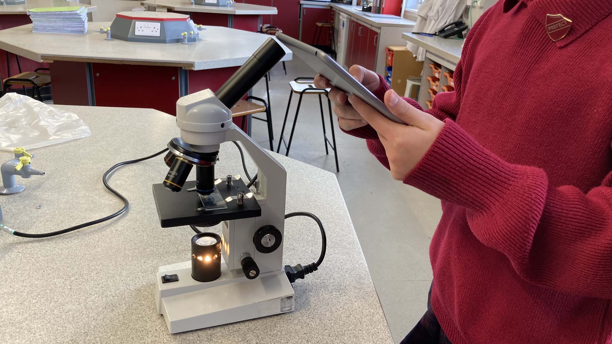 photographing a microscope specimen