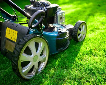 How to winterize a lawn mower: gas, cordless and riding mowers ...