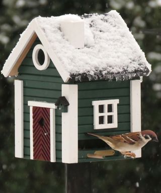 bird box in the shape of a house with a sparrow