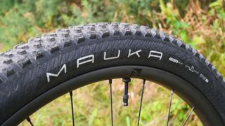 American Classic Mauka mountain bike tires
