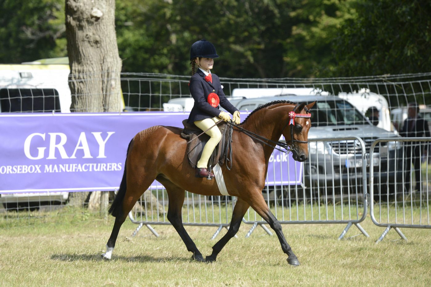 DSC7737_328759512_535224142-e1572872093476.jpg