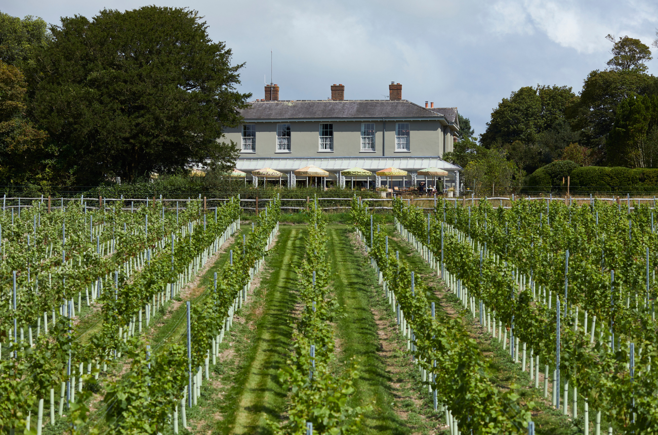 An afternoon at The Pig South Downs with award-winning wines