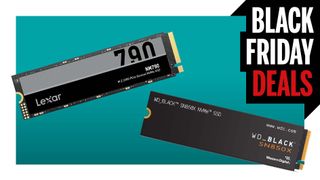 Lexar and WD SSDs