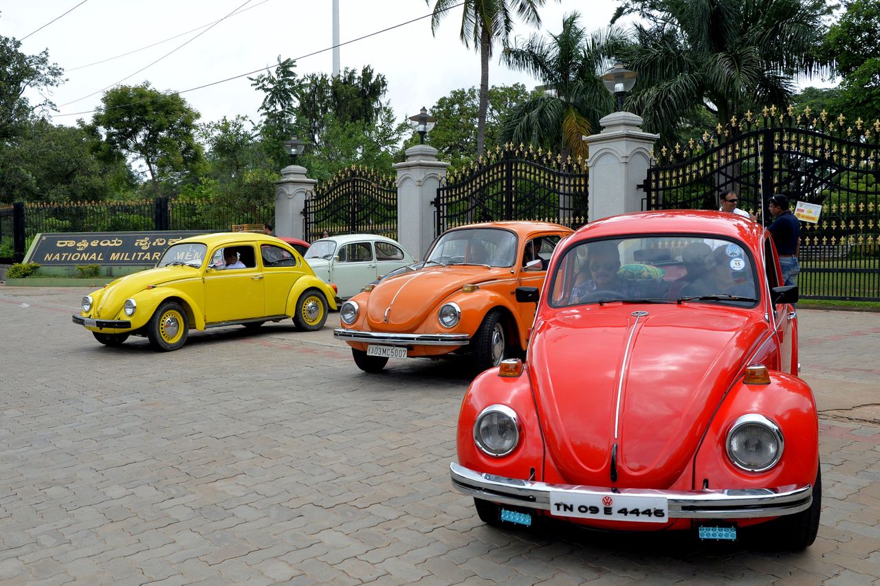 Vintage Beetles in a parking lot