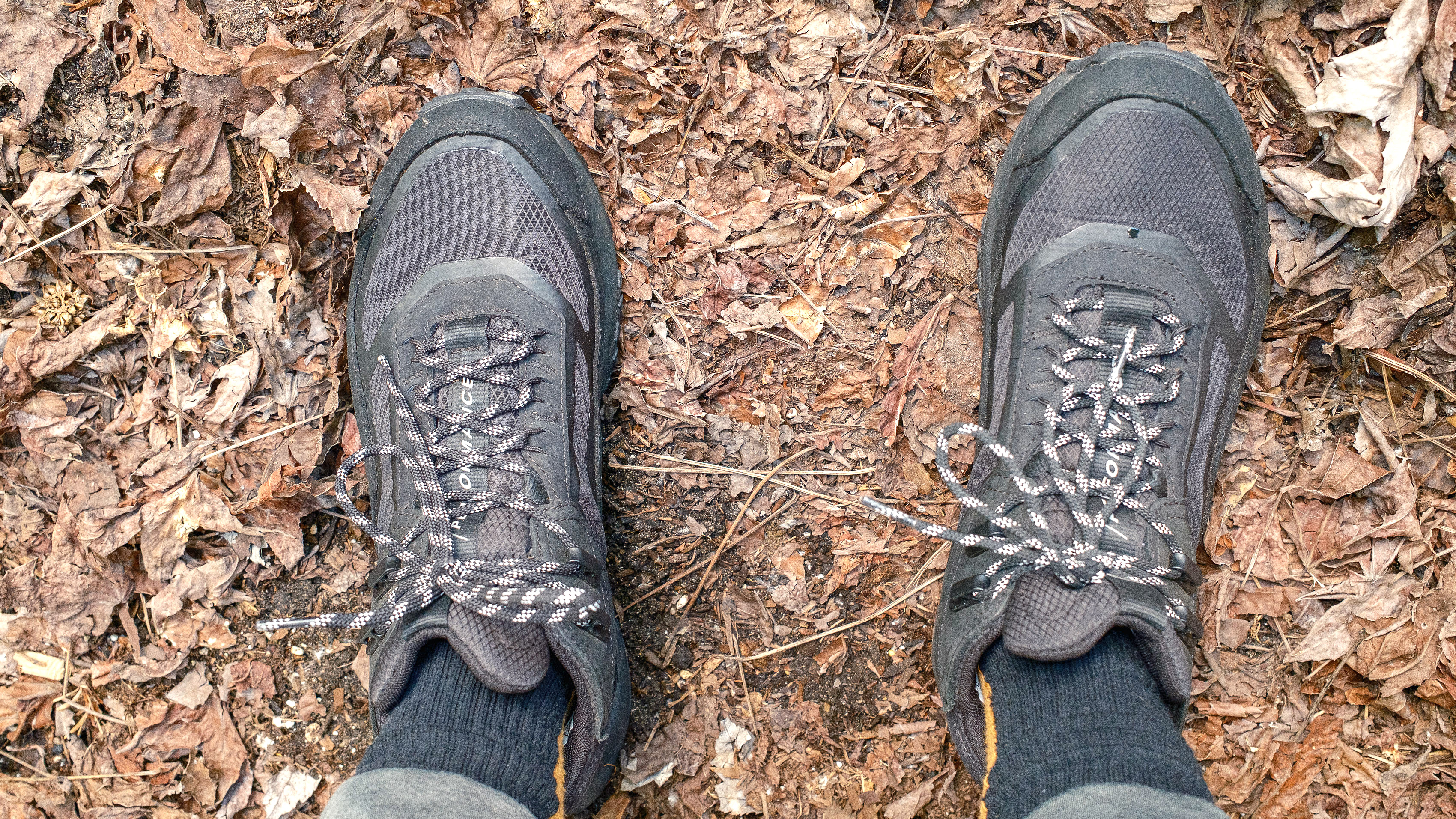 Straight-down shot of the Timberland Motion Access Mid Waterproof Sneakers (black) on a leaf covered trail