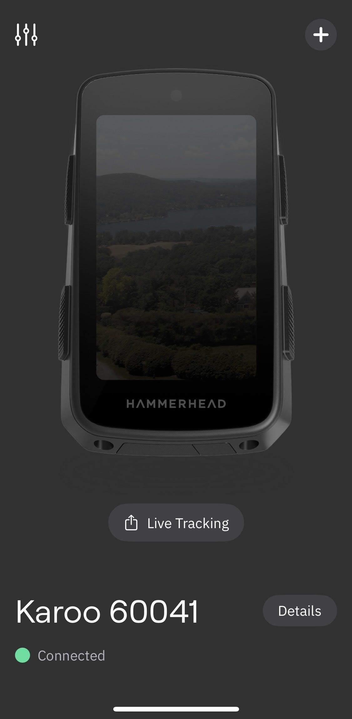 Hammerhead Karoo