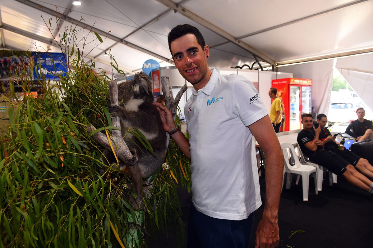 Eduard Prades with a koala