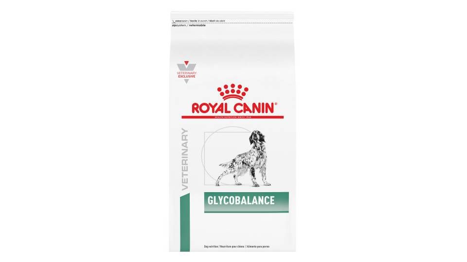 Best diabetic dog food